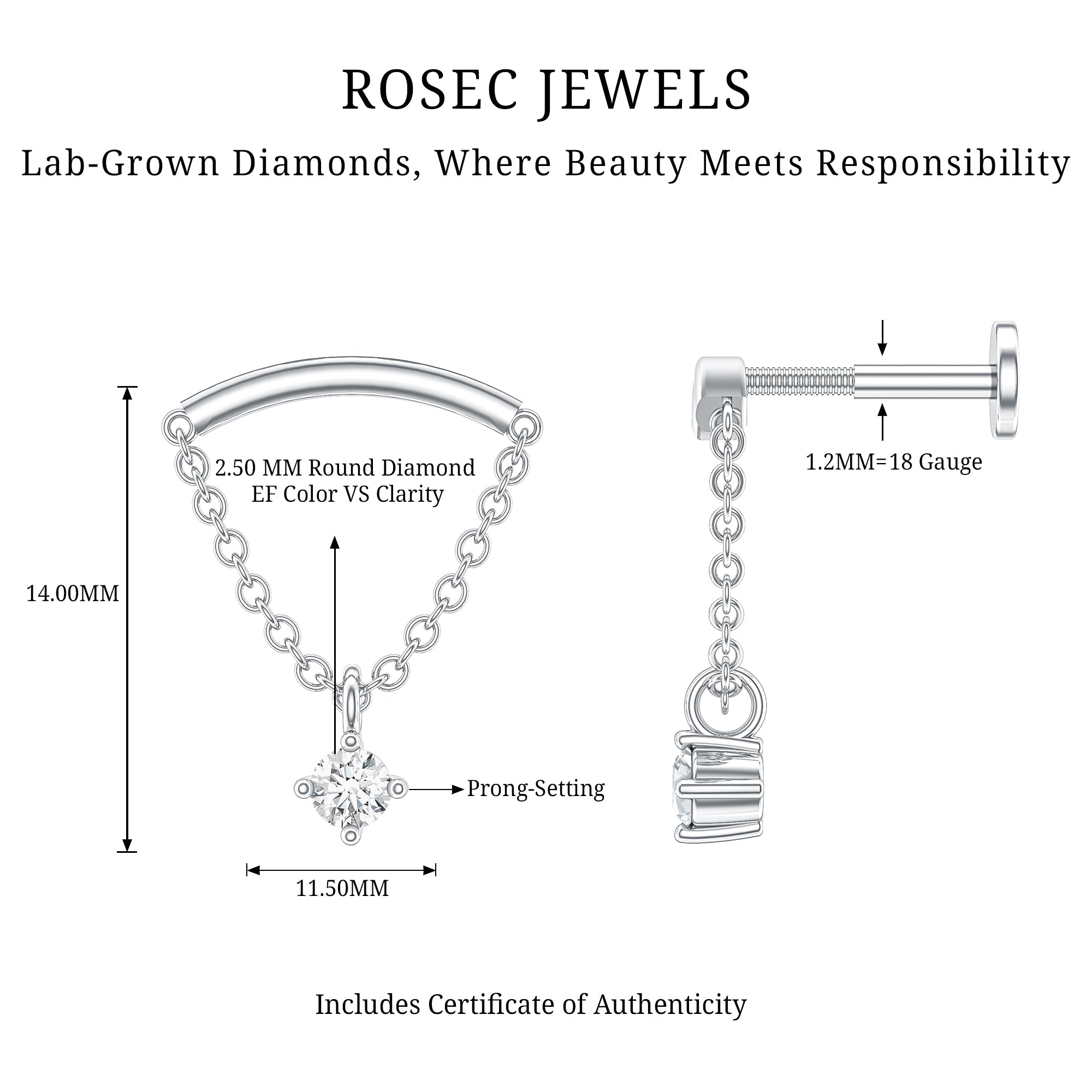 Single Diamond Hidden Helix Earring with Chain