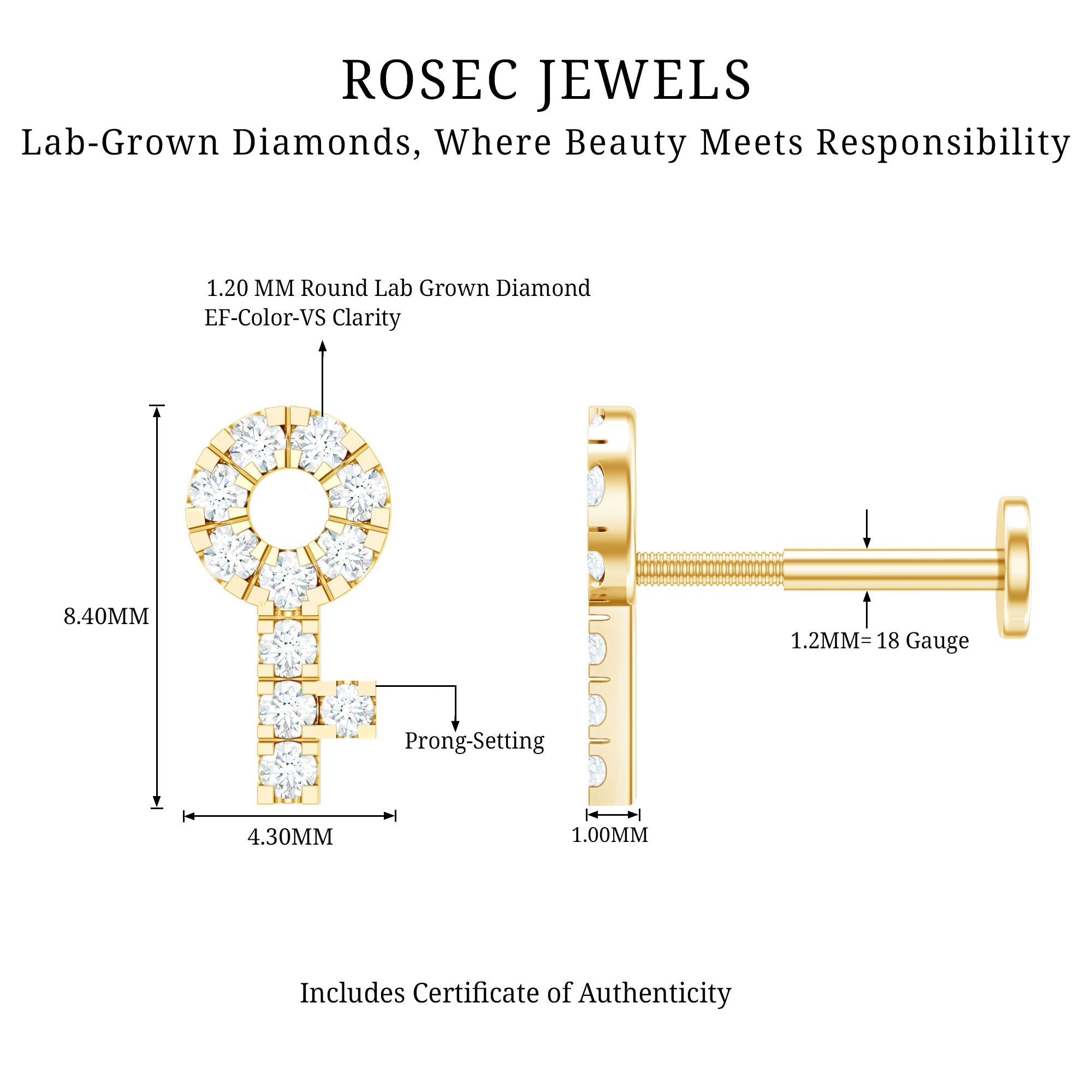 Diamond Key Shape Tragus Earring