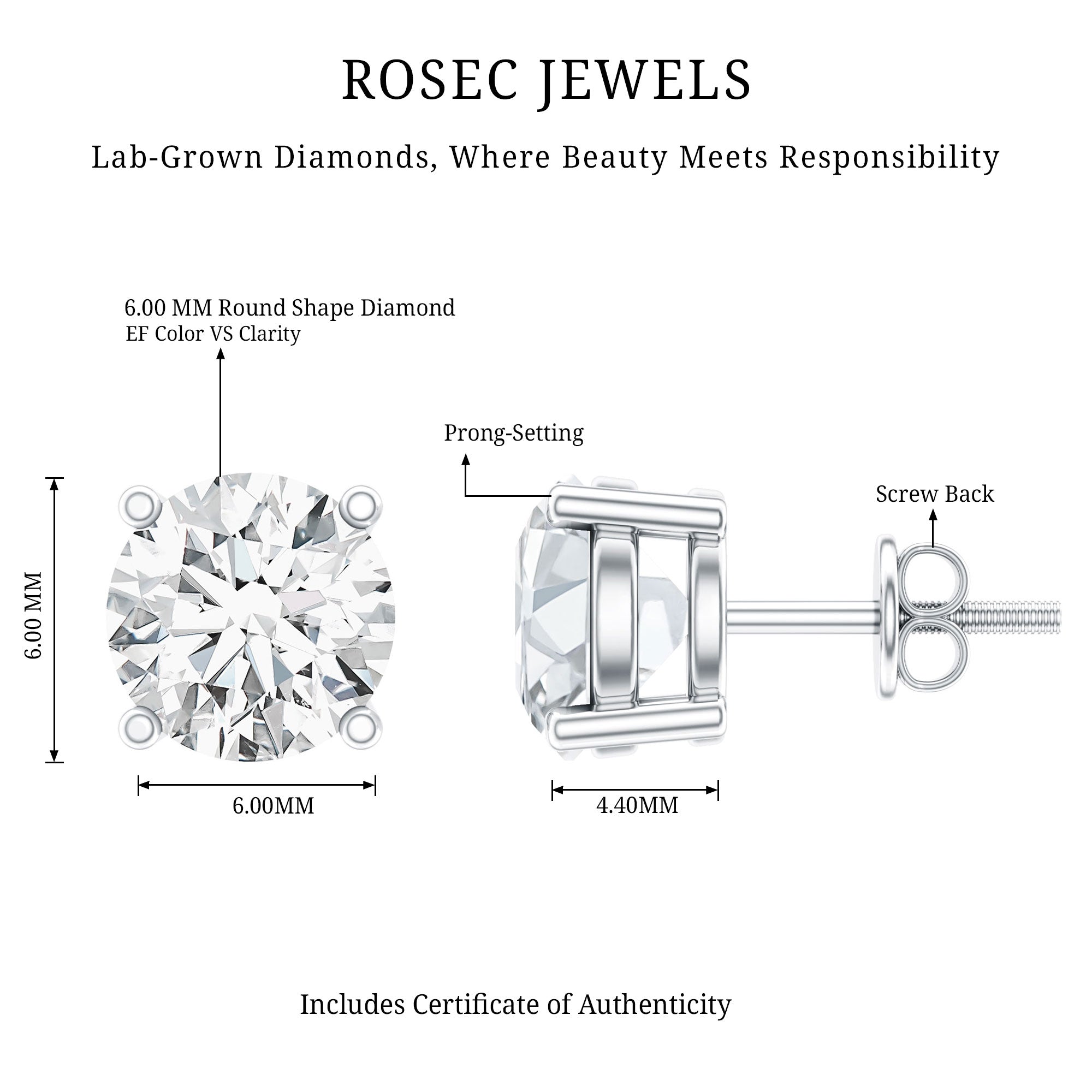 IGI Certified 2 Carat Round Lab Grown Diamond Stud Earrings with Screw Backs