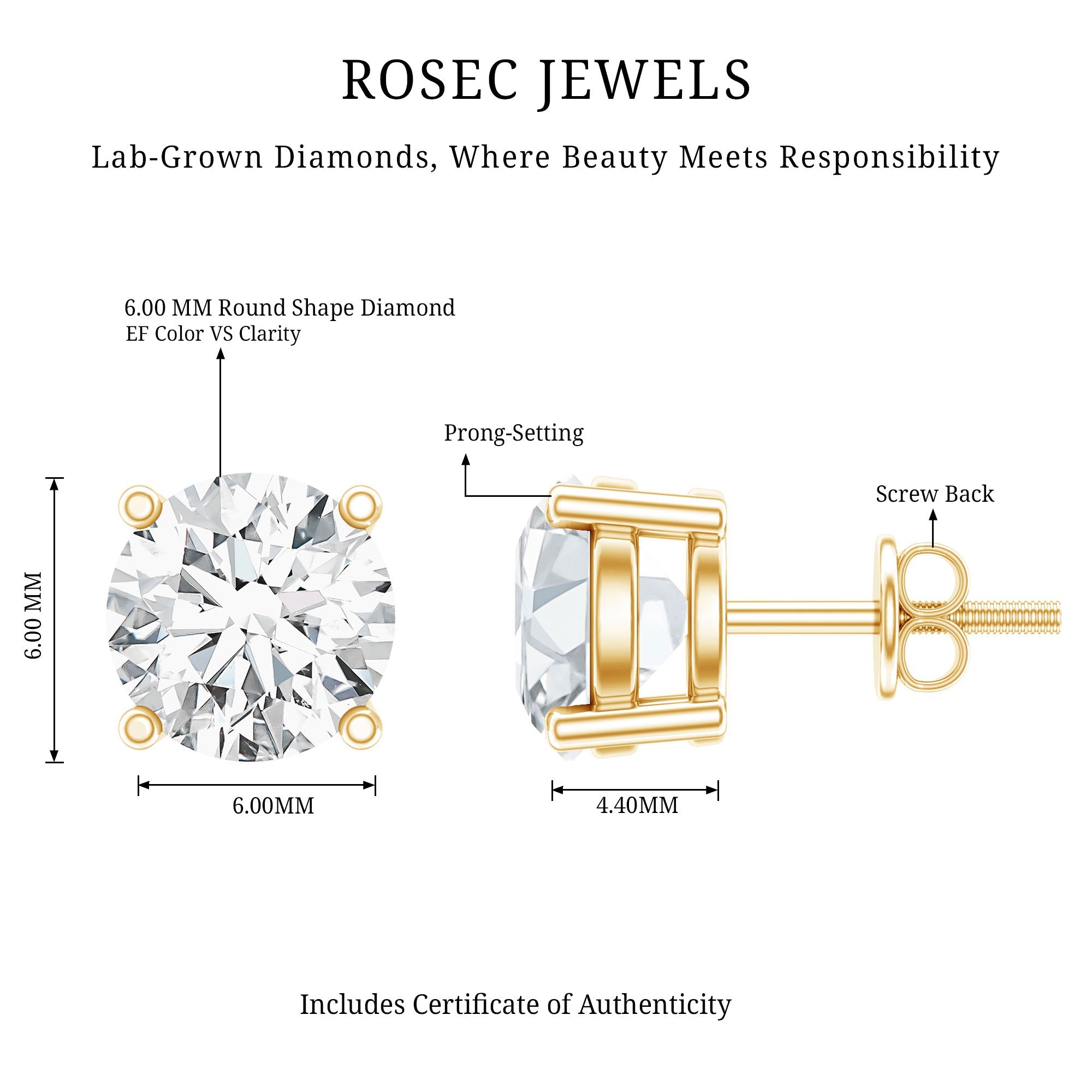 IGI Certified 2 Carat Round Lab Grown Diamond Stud Earrings with Screw Backs