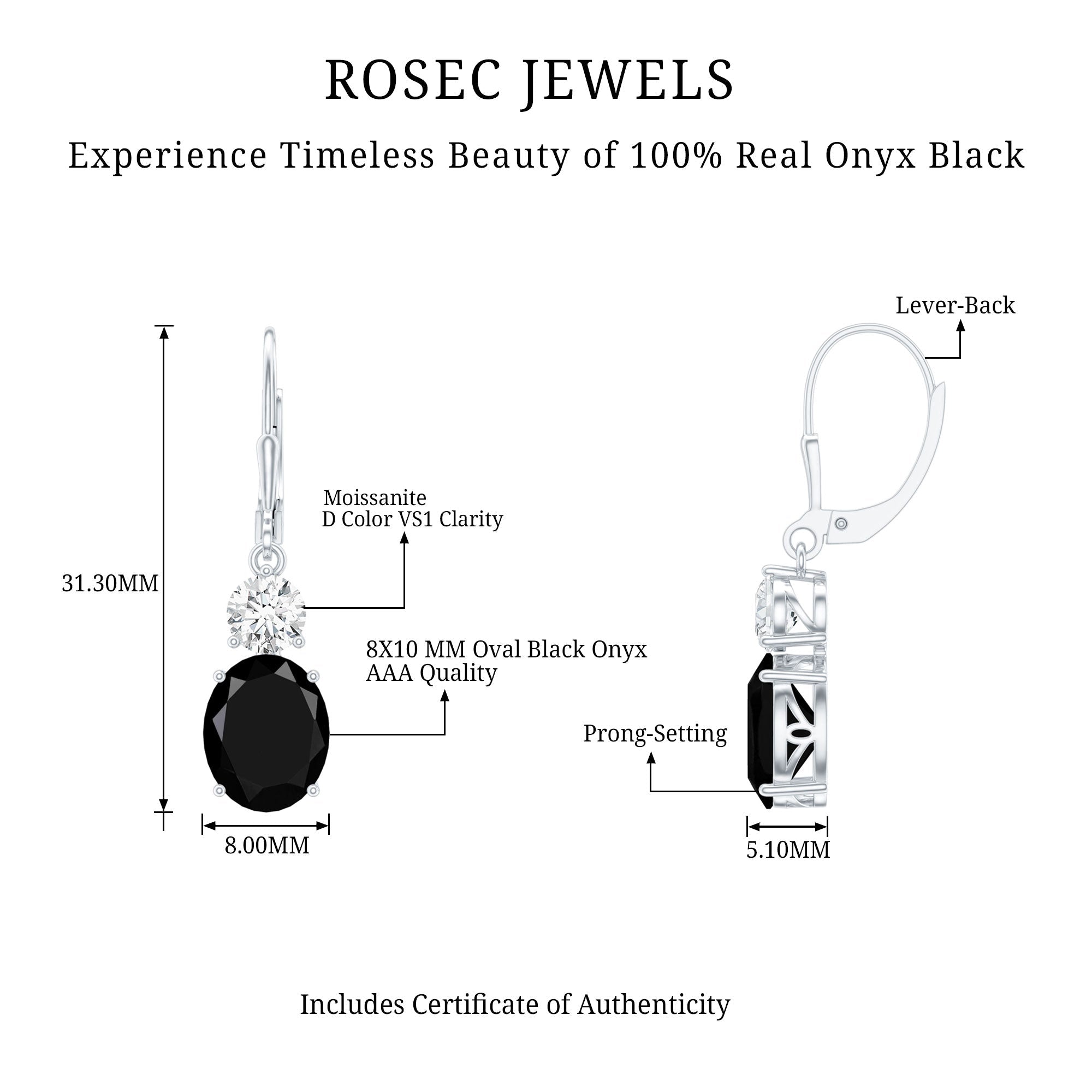 Natural 8X10mm Oval Black Onyx Drop Earrings with Lever Back