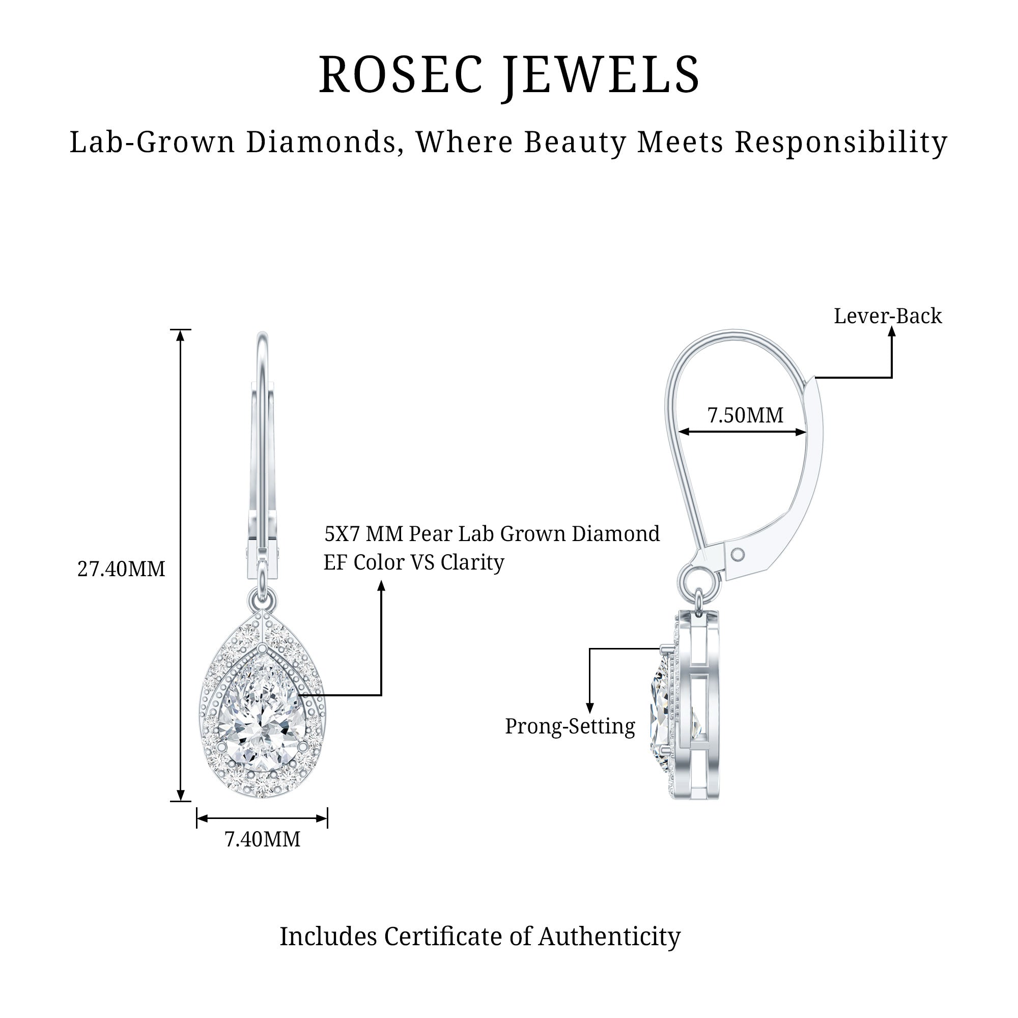 Lab Grown Diamond Drop Dangle Earrings With Lever Back