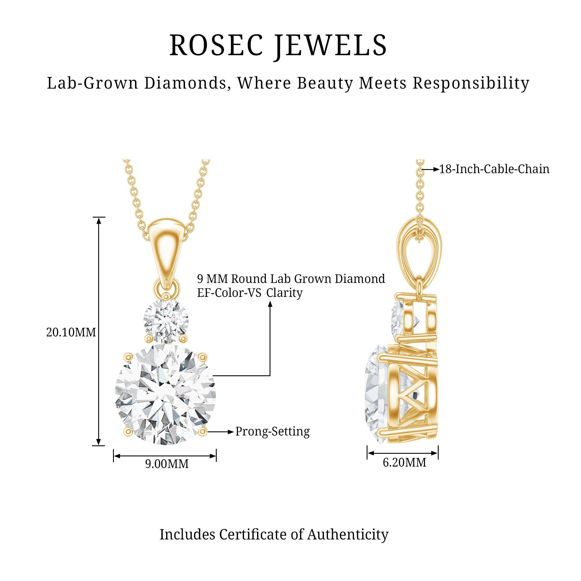 Certified Lab Grown Diamond 2 Stone Necklace For Women
